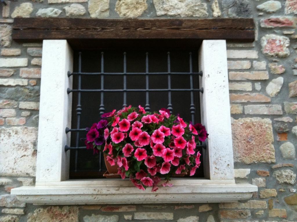 Agriturismo La Cantina Ascoli Piceno Bagian luar foto